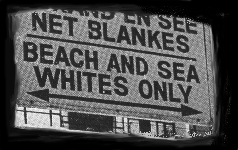 white.gif (34430 octets)