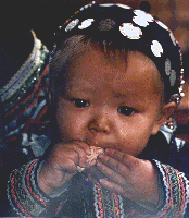 Viet.Hmong4.S.gif (28580 octets)