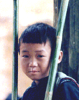 Viet.hmong.Lee1.S.gif (27743 octets)