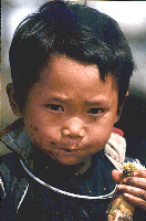 Viet.hmong.Lee.gif (84800 octets)