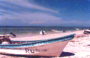 mex5.s.gif (56802 octets)